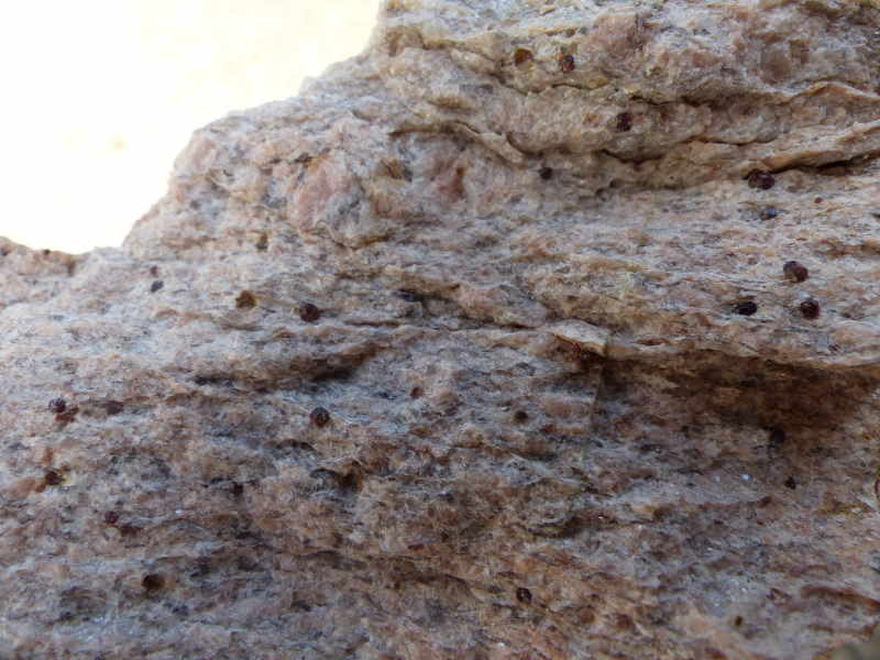 Sortie minéraux du 09/02/2019 dans les Deux-Sèvres